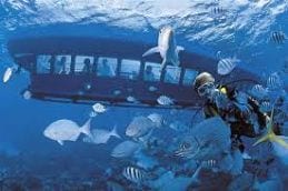 Curaçao vakantie Sea Aquarium