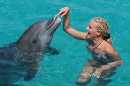 Curaçao vakantie dolfijnen